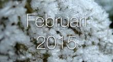 Alfresco Monthly: February 2015